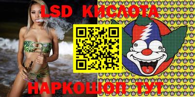 a pvp Брянск