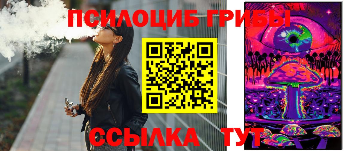 Электросталь  Галлюциногенные грибы GOLDEN TEACHER  наркотики  Вход с VPN 